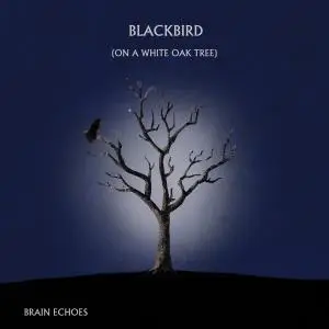 Brain Echoes - Blackbird (On A White Oak Tree) (2021)