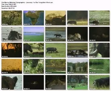 National GeoGraphic - Journey To The Forgotten River