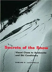 Secrets of the Snow: Visual Clues to Avalanche and Ski Conditions