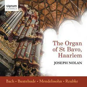 Joseph Nolan - The Organ of St Bavo, Haarlem (2018)