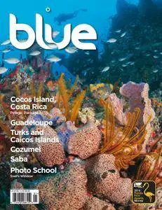 Blue Magazine - January 01, 2015
