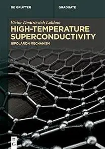 High-Temperature Superconductivity: Bipolaron Mechanism (De Gruyter Graduate)