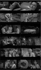 The Alligator People (1959)