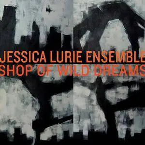 Jessica Lurie Ensemble - Shop of Wild Dreams (2009)