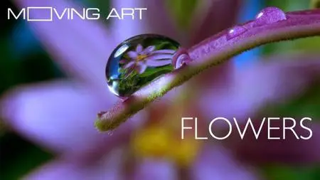 BBC - Moving Art: Flowers (2014)