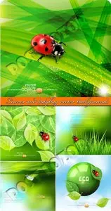 Leaves and ladybug vector backgrounds