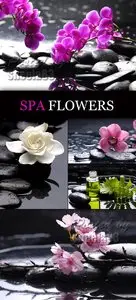 Stock Photo - Spa Flowers