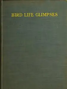 «Bird Life Glimpses» by Edmund Selous