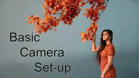 Basic Camera Set-up: The First Step to Quality Creative Photography