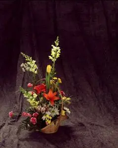 KPT Flowers