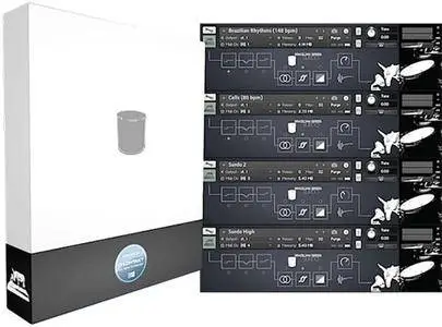 Muletone Audio Brazilian Series Surdo KONTAKT