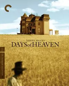 Days of Heaven (1978) [The Criterion Collection]