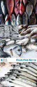 Photos - Fresh Fish Set 13