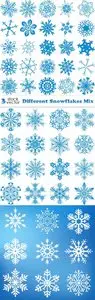 Vectors - Different Snowflakes Mix