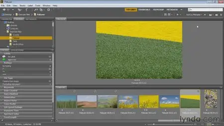 Bridge CC for Photographers (2013) [repost]