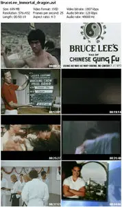 Bruce Lee: The Immortal Dragon (2002)