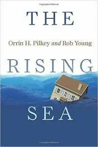 The Rising Sea