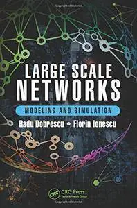 Large Scale Networks: Modeling and Simulation