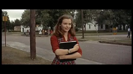 Picnic (1955)