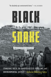 Black Snake : Standing Rock, the Dakota Access Pipeline, and Environmental Justice