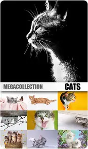 MEGACOLLECTION - Cats (Part#1)
