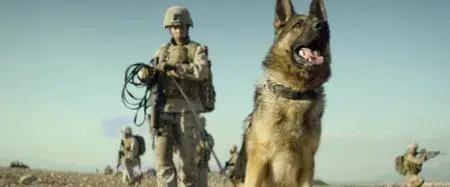 Megan Leavey (2017)