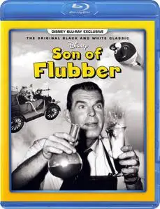 Son of Flubber (1963)