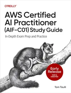 AWS Certified AI Practitioner Study Guide (Early Release)