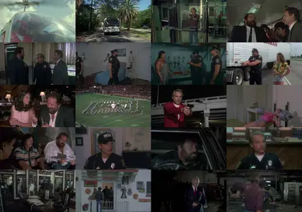 Miami Supercops (1985) [Open Matte]