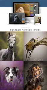 LSP Actions - Fur Babies v3 - Photoshop Action Suite