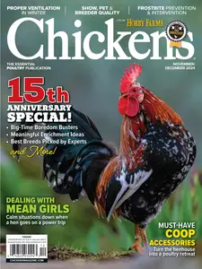 Chickens - November-December 2024