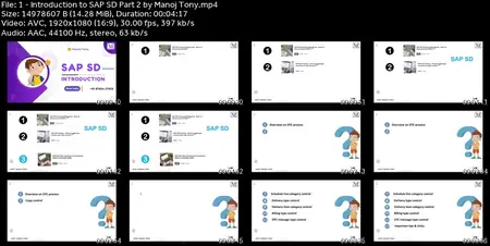SAP SD Training - All document type control and copy control