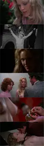 The Image (1975)