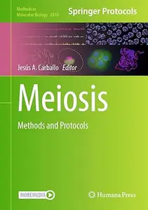 Meiosis: Methods and Protocols