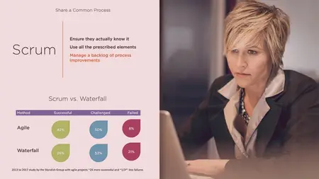 Scrum for Executives, Leaders, and Your Boss