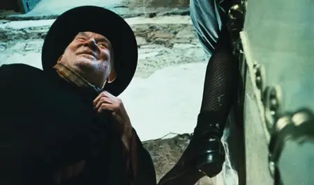 Birds, Orphans and Fools (1969)