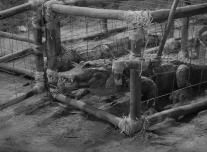 Africa Screams (1949)