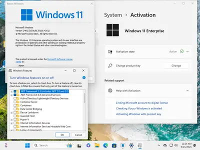 Windows 11 Enterprise 24H2 Build 26100.4351 (No TPM Required) With Office 2024 Pro Plus Multilingual Preactivated June 2025