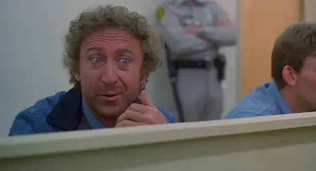 Stir Crazy (1980)