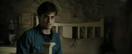 Harry Potter and the Deathly Hallows. Part 2 / Гарри Поттер и Дары Смерти. Часть 2 (2011)