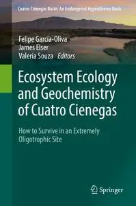 Ecosystem Ecology and Geochemistry of Cuatro Cienegas: How to Survive in an Extremely Oligotrophic Site