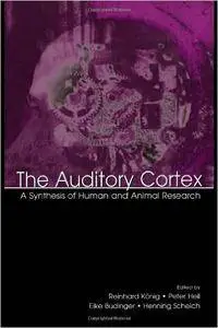 The Auditory Cortex: A Synthesis of Human and Animal Research