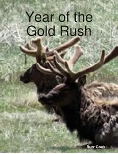 «Year of the Gold Rush» by Burr Cook