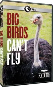 Big Birds Can't Fly (2015)