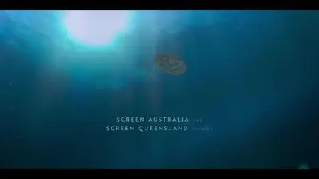 Dive Club S01E11