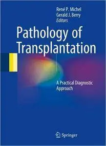 Pathology of Transplantation: A Practical Diagnostic Approach