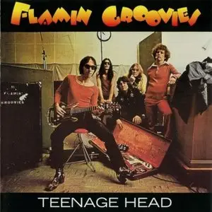 Flamin' Groovies - Teenage Head (1971)