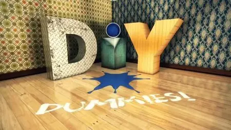 Channel 5 - DIY Dummies (2014)