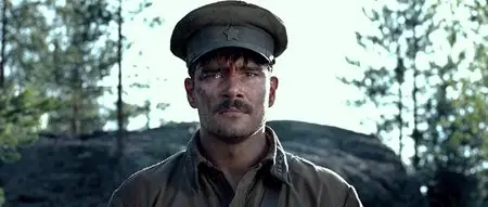 A zori zdes tikhie (2015)