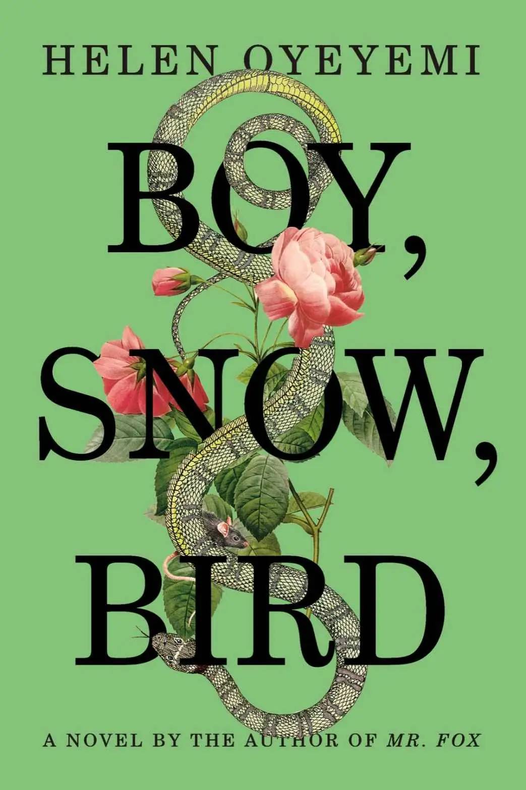 Boy, Snow, Bird: A Novel by Helen Oyeyemi